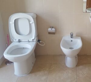Read more about the article Water Closet
